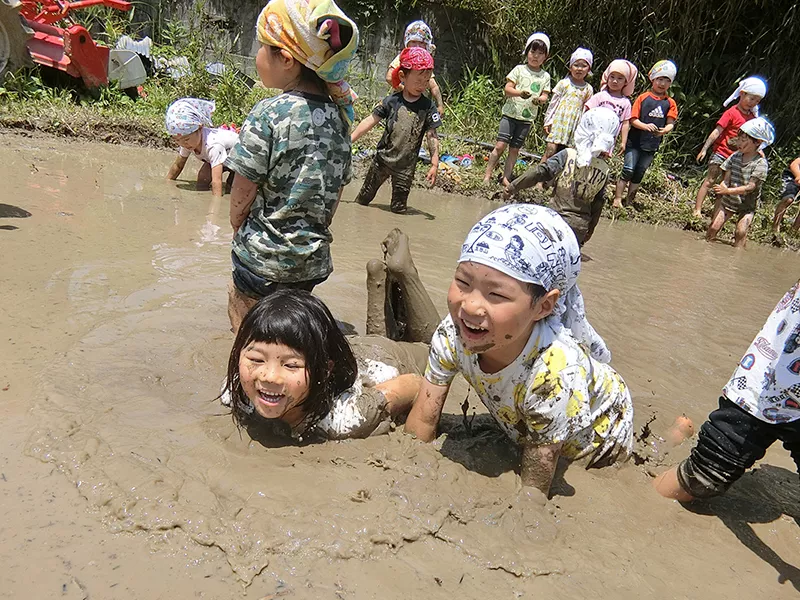 もみのき幼稚園･めだか園