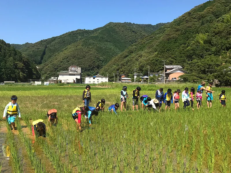 とさ自由学校