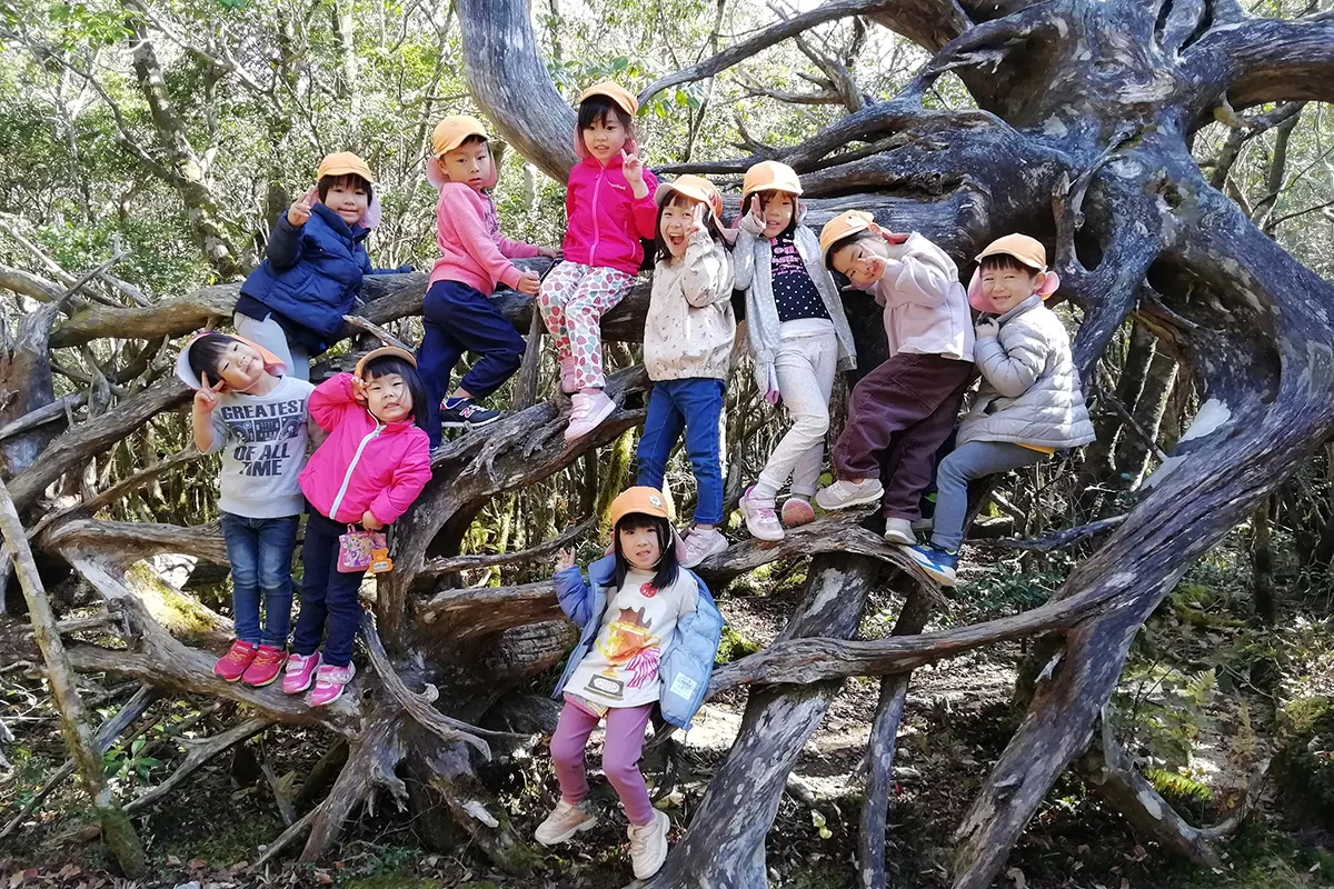 もみのき幼稚園・めだか園_topImage01